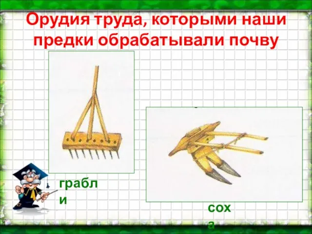 Орудия труда, которыми наши предки обрабатывали почву соха грабли