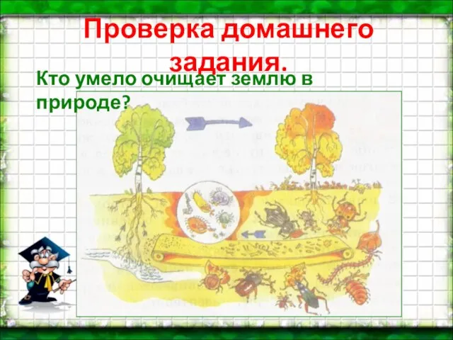 Проверка домашнего задания. Кто умело очищает землю в природе?