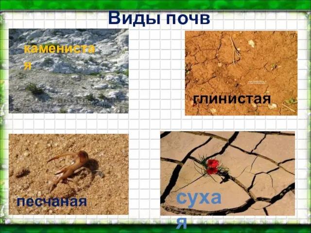 Виды почв каменистая песчаная глинистая сухая