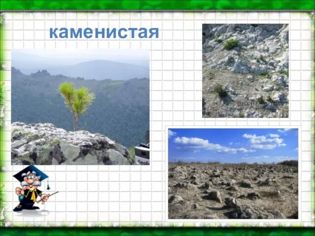 каменистая