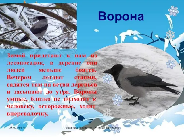 Снег на полях, лёд на реках, вьюга гуляет. Когда это бывает? Зимой