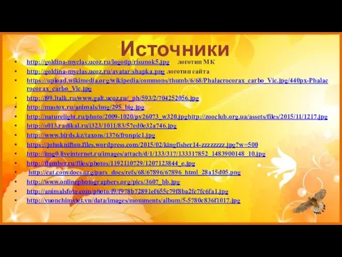 Источники http://goldina-myclas.ucoz.ru/logotip/risunok5.jpg логотип МК http://goldina-myclas.ucoz.ru/avatar/shapka.png логотип сайта https://upload.wikimedia.org/wikipedia/commons/thumb/6/68/Phalacrocorax_carbo_Vic.jpg/440px-Phalacrocorax_carbo_Vic.jpg http://i99.ltalk.ru/www.galt.ucoz.ru/_ph/593/2/704252056.jpg http://mastox.ru/animals/img/295_big.jpg http://naturelight.ru/photo/2009-1020/pv26073_w320.jpghttp://zooclub.org.ua/assets/files/2015/11/1217.jpg http://s013.radikal.ru/i323/1011/83/57ed0e32a746.jpg