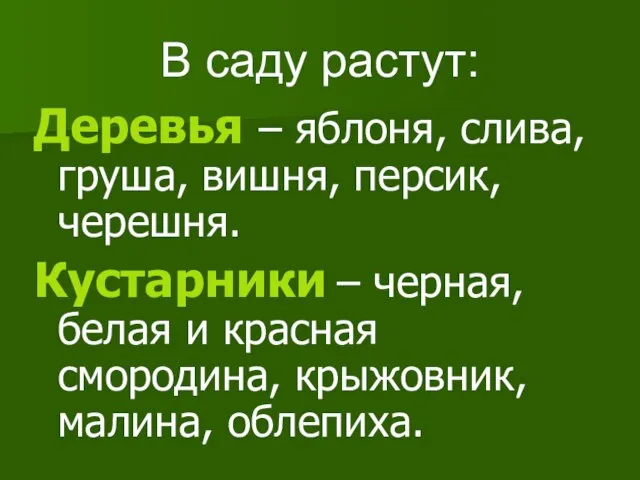 В саду растут: Деревья – яблоня, слива, груша, вишня, персик, черешня. Кустарники