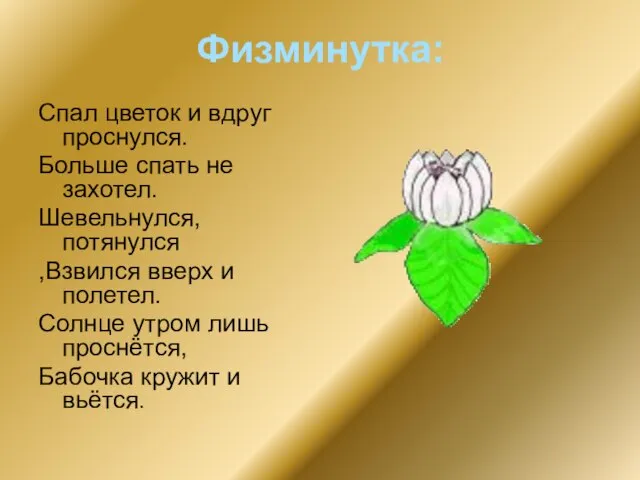 Физминутка: Спал цветок и вдруг проснулся. Больше спать не захотел. Шевельнулся, потянулся