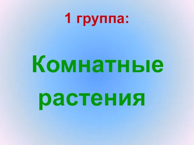 1 группа: Комнатные растения