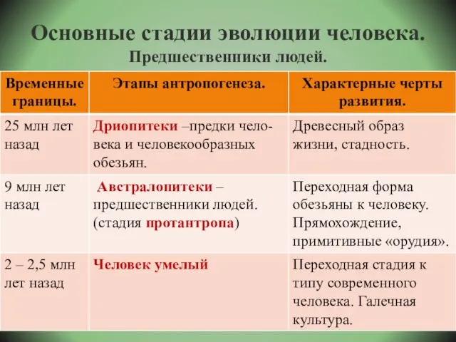 Основные стадии эволюции человека. Предшественники людей.