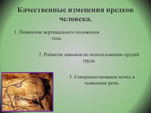 Качественные изменения предков человека. 1. Появление вертикального положения тела. 2. Развитие навыков