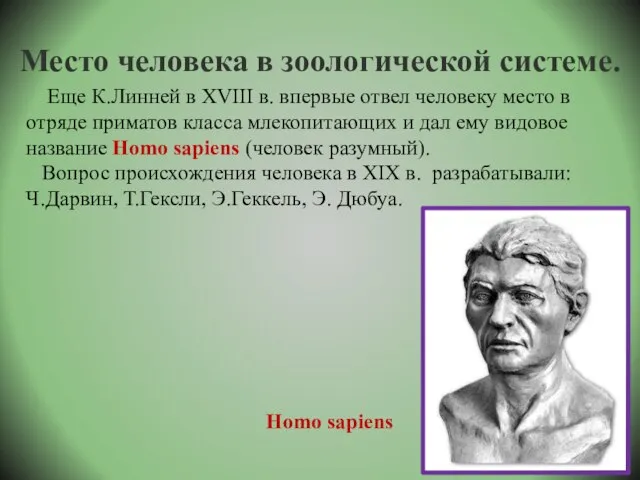 Место человека в зоологической системе. Еще К.Линней в XVIII в. впервые отвел