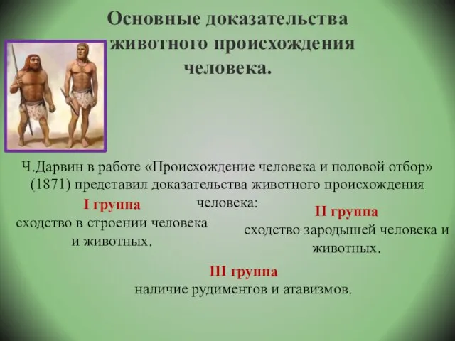 Основные доказательства животного происхождения человека. Ч.Дарвин в работе «Происхождение человека и половой