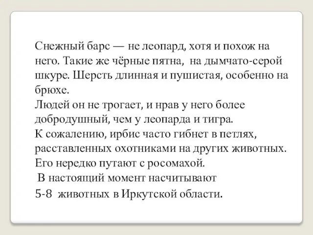 Снежный барс — не леопард, хотя и похож на него. Такие же