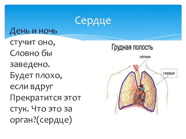 Сердце День и ночь стучит оно, Словно бы заведено. Будет плохо, если