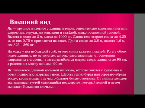 Внешний вид Як — крупное животное с длинным телом, относительно короткими ногами,