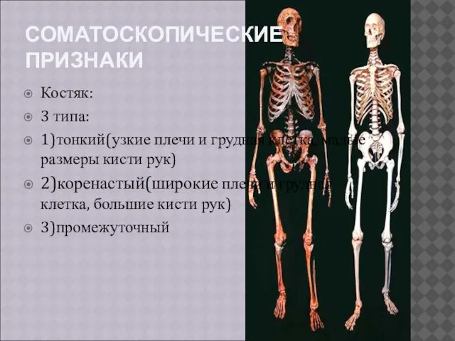 СОМАТОСКОПИЧЕСКИЕ ПРИЗНАКИ Костяк: 3 типа: 1)тонкий(узкие плечи и грудная клетка, малые размеры