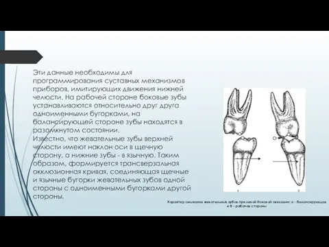 Эти данные необходимы для программирования суставных механизмов приборов, имитирующих движения нижней челюсти.