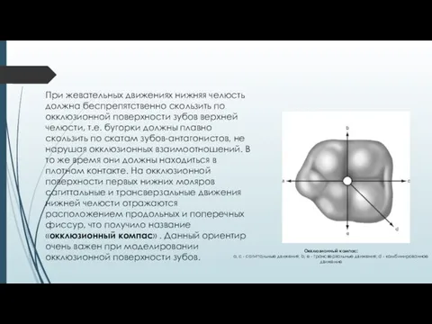 При жевательных движениях нижняя челюсть должна беспрепятственно скользить по окклюзионной поверхности зубов