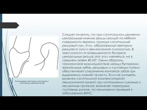 Следует отметить, что при сагиттальном движении центральные нижние резцы скользят по нёбной