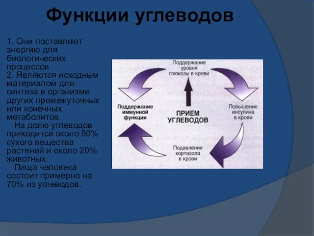 1. Они поставляют энергию для биологических процессов. 2. Являются исходным материалом для