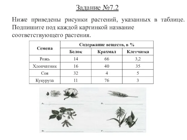 Задание №7.2 Ниже приведены рисунки растений, указанных в таблице. Подпишите под каждой картинкой название соответствующего растения.
