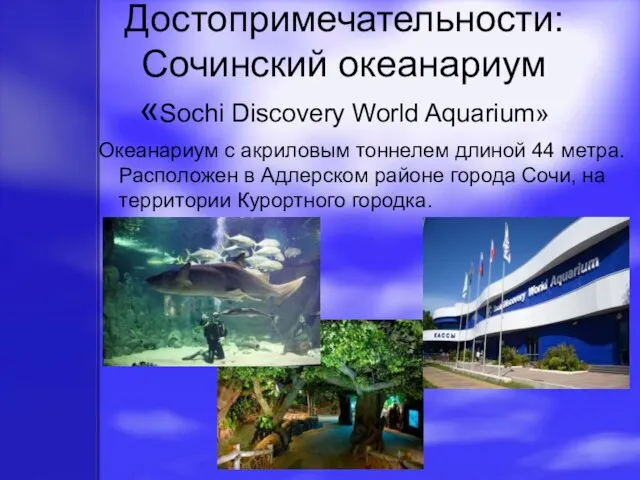 Достопримечательности: Сочинский океанариум «Sochi Discovery World Aquarium» Океанариум с акриловым тоннелем длиной