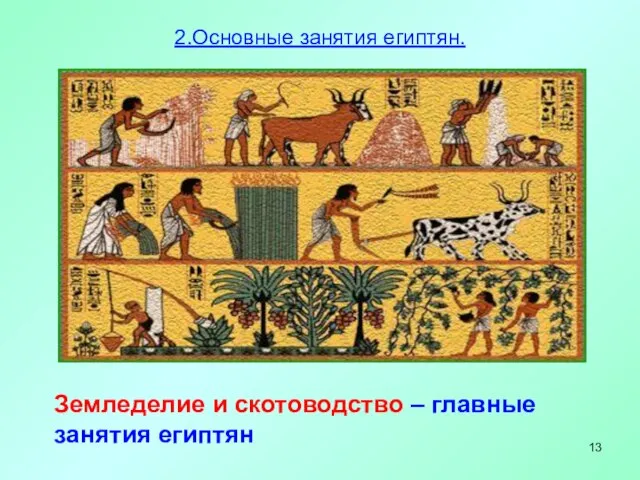 Земледелие и скотоводство – главные занятия египтян 2.Основные занятия египтян.