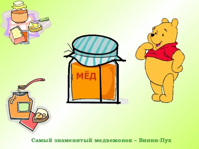 Самый знаменитый медвежонок – Винни-Пух МЁД