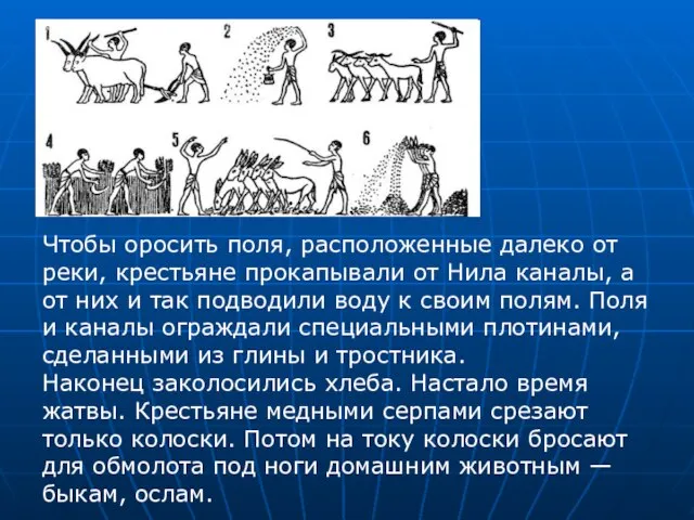 Чтобы оросить поля, расположенные далеко от реки, крестьяне прокапывали от Нила каналы,