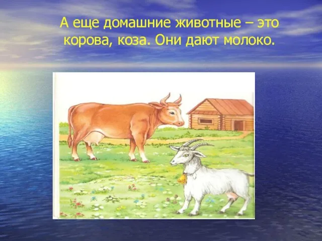 Лошадь и овца — тоже домашние жи-:ные >е :"-:: а цаёт шерсть,