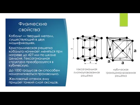 Физические свойства Кобальт — твердый металл, существующий в двух модификациях. Кристаллическая решетка