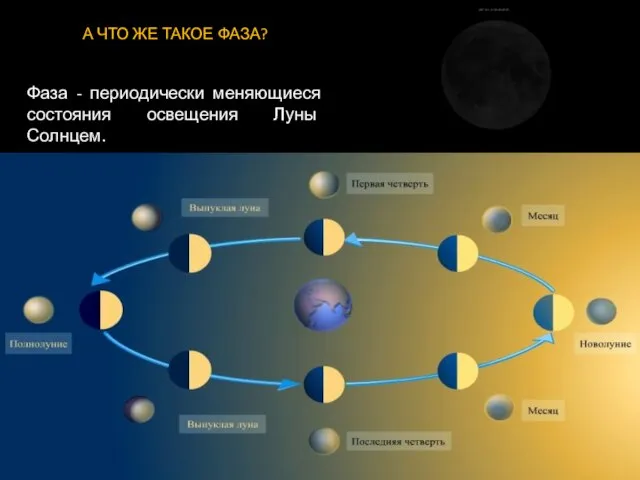 А ЧТО ЖЕ ТАКОЕ ФАЗА? Фаза - периодически меняющиеся состояния освещения Луны Солнцем.