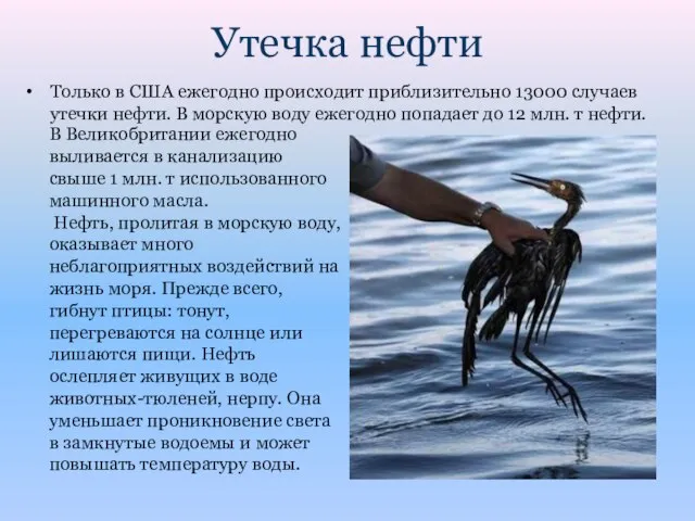 Утечка нефти​ Только в США ежегодно происходит приблизительно 13000 случаев утечки нефти.