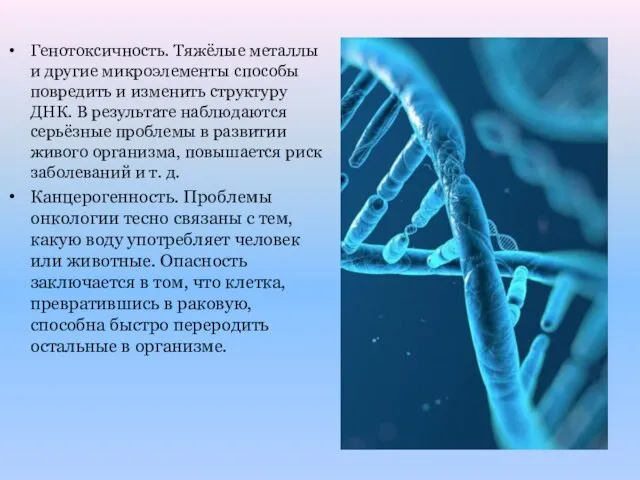 Генотоксичность. Тяжёлые металлы и другие микроэлементы способы повредить и изменить структуру ДНК.