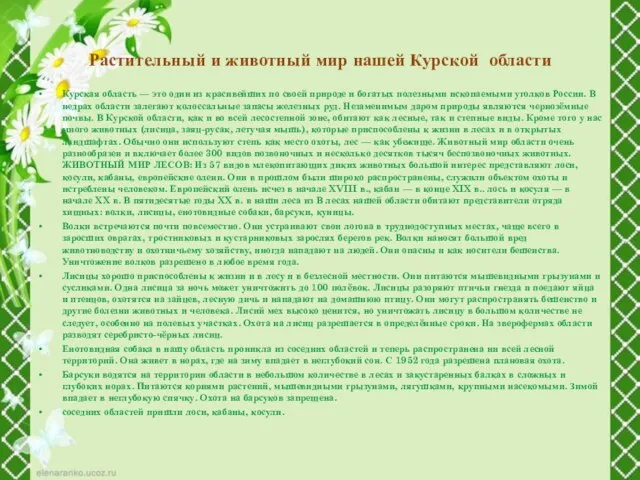 Растительный и животный мир нашей Курской области Курская область — это один