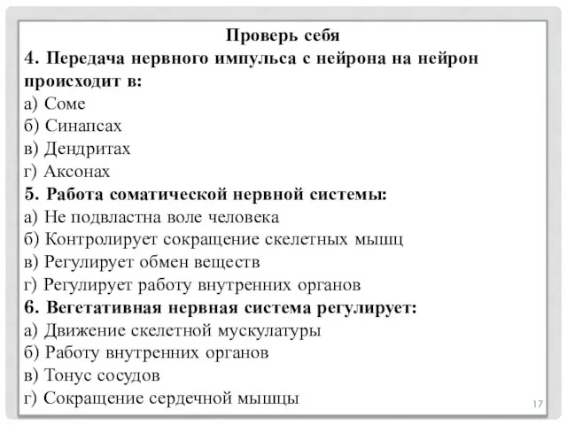 Проверь себя 4. Передача нервного импульса с нейрона на нейрон происходит в: