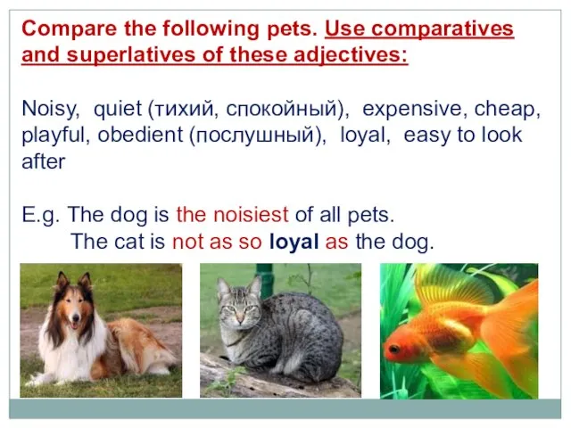 Сompare the following pets. Use comparatives and superlatives of these adjectives: Noisy,