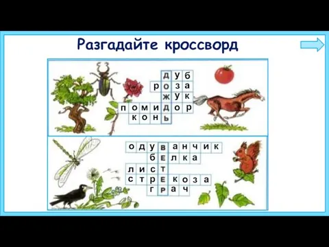 Разгадайте кроссворд у б р з а у к п о м