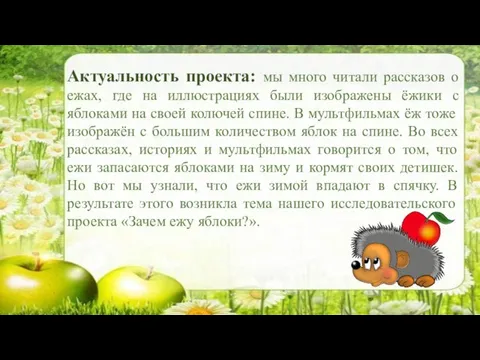 Актуальность проекта: мы много читали рассказов о ежах, где на иллюстрациях были