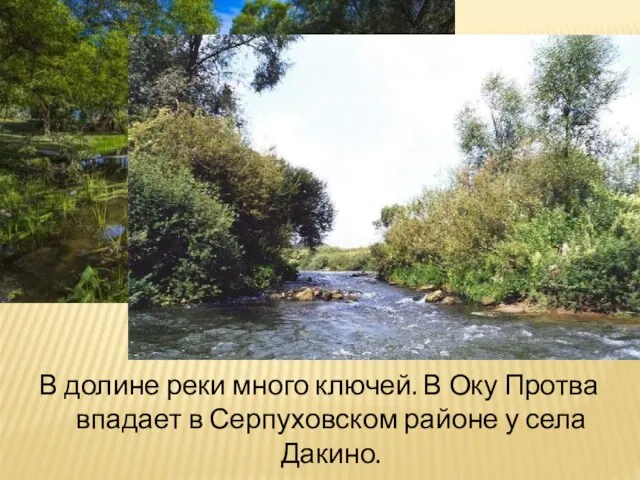В долине реки много ключей. В Оку Протва впадает в Серпуховском районе у села Дакино.