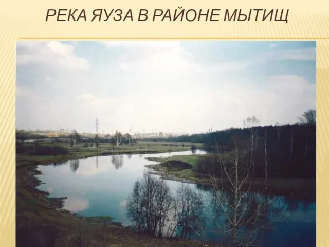 Река Яуза в районе Мытищ