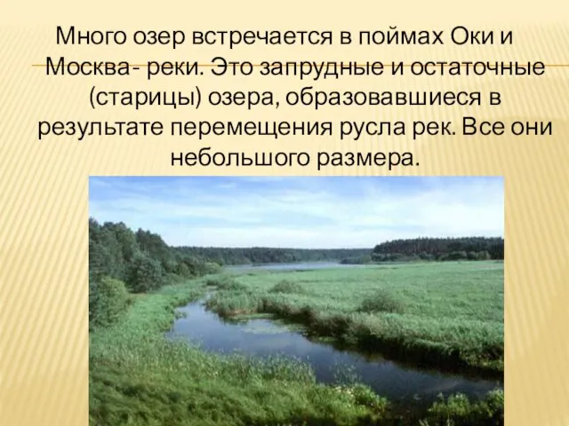 Много озер встречается в поймах Оки и Москва- реки. Это запрудные и