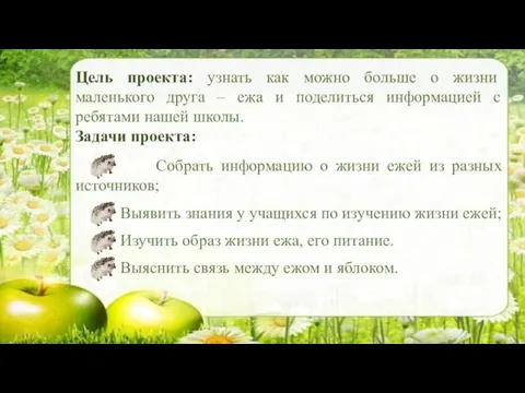 Цель проекта: узнать как можно больше о жизни маленького друга – ежа