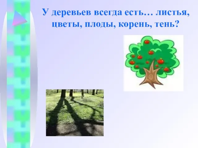 У деревьев всегда есть… листья, цветы, плоды, корень, тень?