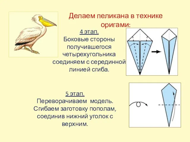 Делаем пеликана в технике оригами: 5 этап. Переворачиваем модель. Сгибаем заготовку пополам,