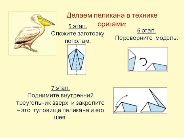 Делаем пеликана в технике оригами: 5 этап. Сложите заготовку пополам. 6 этап.