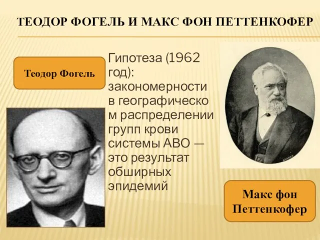 Теодор фогель и Макс фон Петтенкофер Гипотеза (1962 год): закономерности в географическом