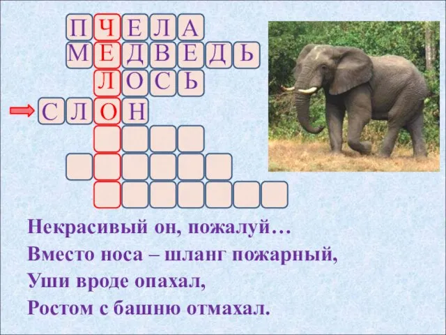 Некрасивый он, пожалуй… Вместо носа – шланг пожарный, Уши вроде опахал, Ростом с башню отмахал.