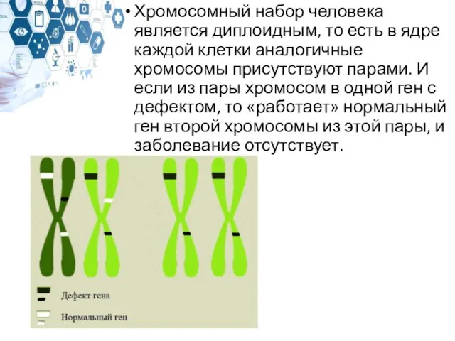 Хромосомный набор человека является диплоидным, то есть в ядре каждой клетки аналогичные