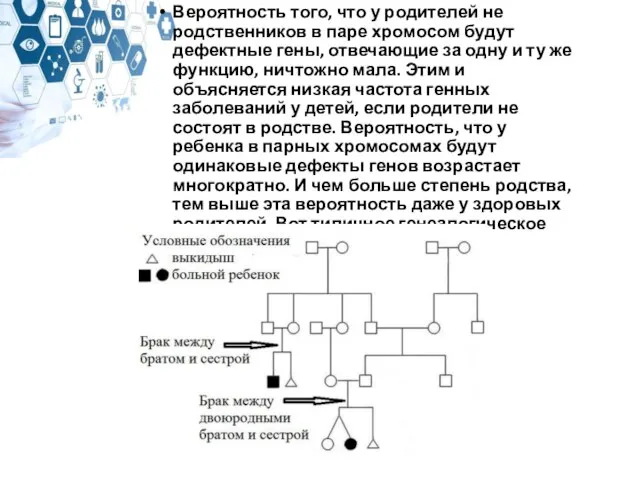 Вероятность того, что у родителей не родственников в паре хромосом будут дефектные