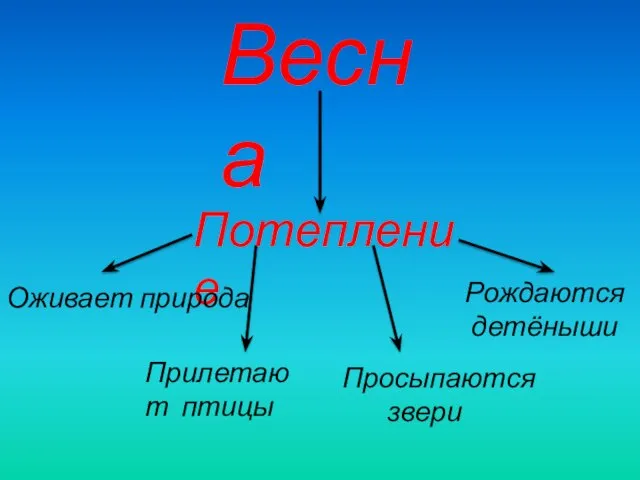 Весна Потепление Оживает природа Просыпаются звери Рождаются детёныши Прилетают птицы