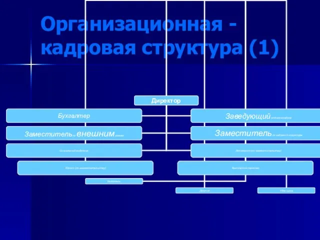 Организационная - кадровая структура (1)