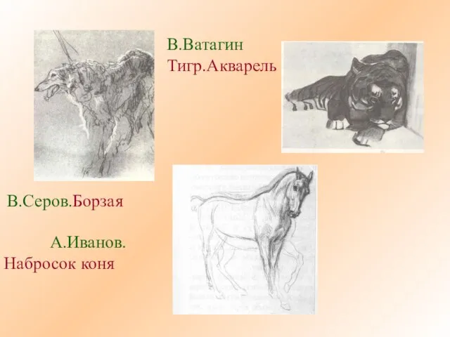 В.Серов.Борзая В.Ватагин Тигр.Акварель А.Иванов. Набросок коня